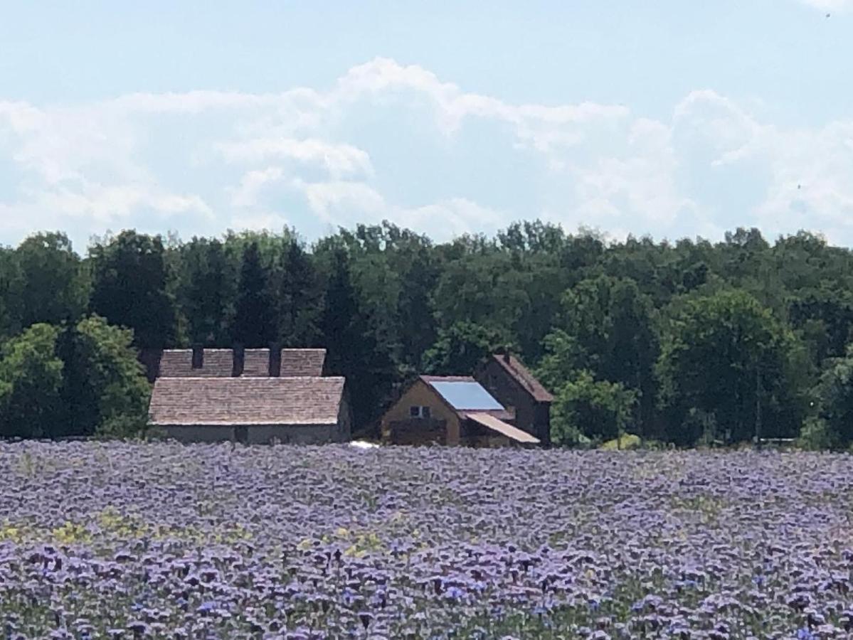 Ferienhof Olbasee Kleinsaubernitz Bagian luar foto