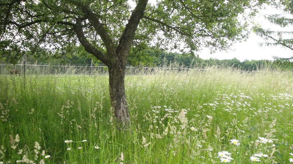 Ferienhof Olbasee Kleinsaubernitz Bagian luar foto