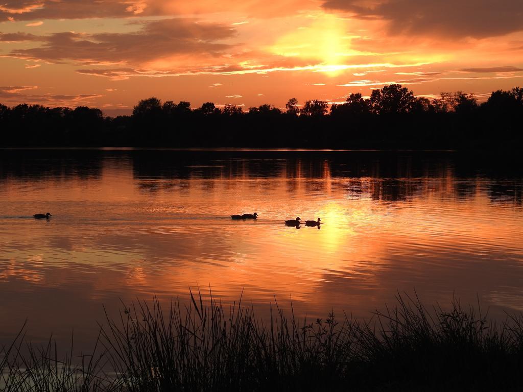 Ferienhof Olbasee Kleinsaubernitz Bagian luar foto